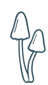 bg-pattern